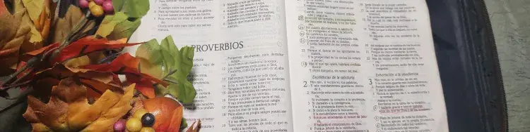 una biblia abierta