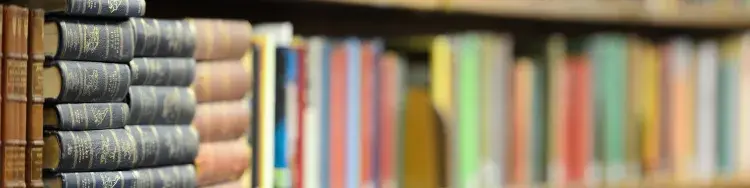estante de la biblioteca lleno de libros